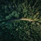 geran-de-klerk-qzgN45hseN0-unsplash-min-min