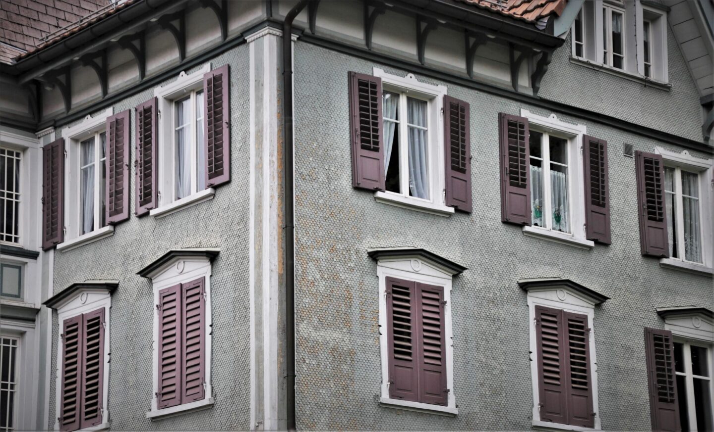 pasja1000-facade-5539694